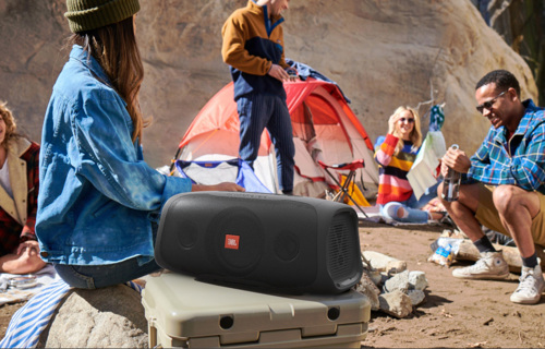 JBL BassPro GO Plus Subwoofer, bluetooth speaker, incl in-home charger - 00370050 14 small - 00370050