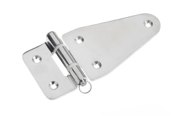 ROCA scharnier RVS met uitneembare pen